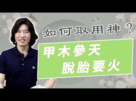 甲木乙木怎麼算